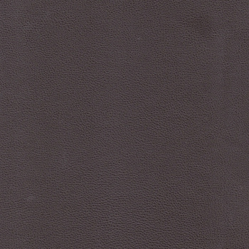 POLO Chocolate